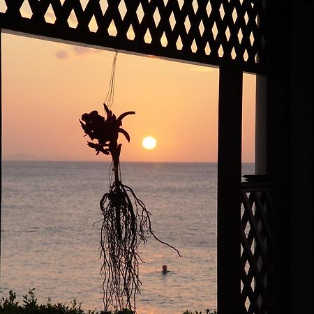 فندق Sosua By The Sea المظهر الخارجي الصورة