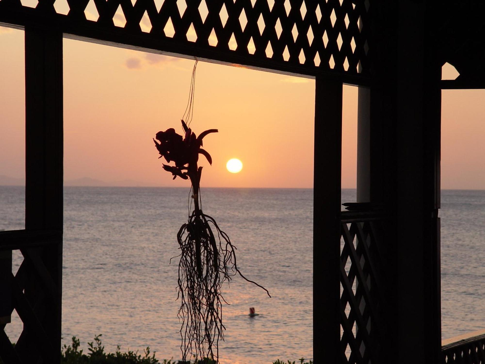 فندق Sosua By The Sea المظهر الخارجي الصورة